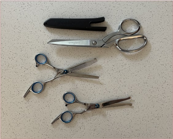 pet grooming scissors