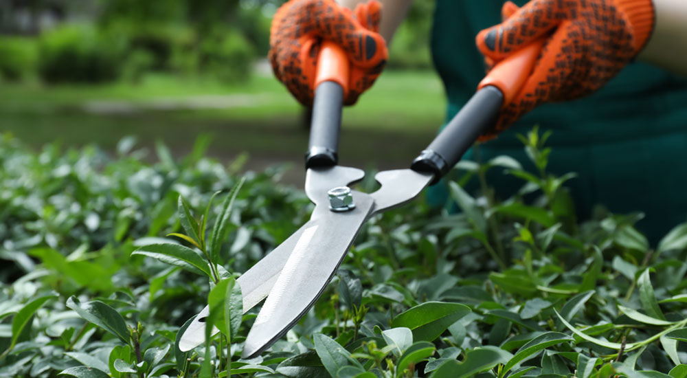Keep your gardening tools sharp with our door-to-door sharpening services in Palo Alto. Enjoy efficient gardening and extend the life of your tools!