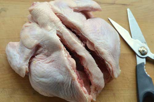 poultry-shears